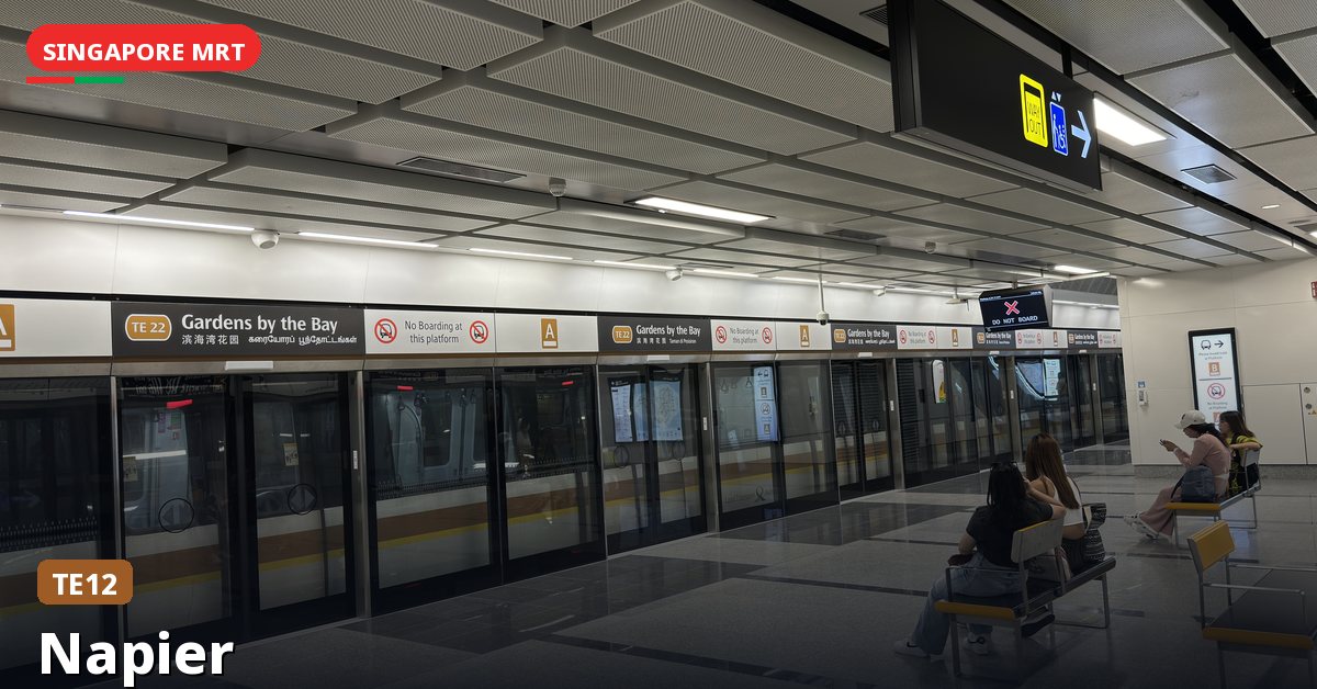 Napier MRT station in Singapore — Thomson-East Coast Line (TE12)