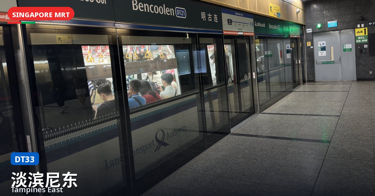 淡滨尼东地铁站，新加坡 — 滨海市区线（DT33）
