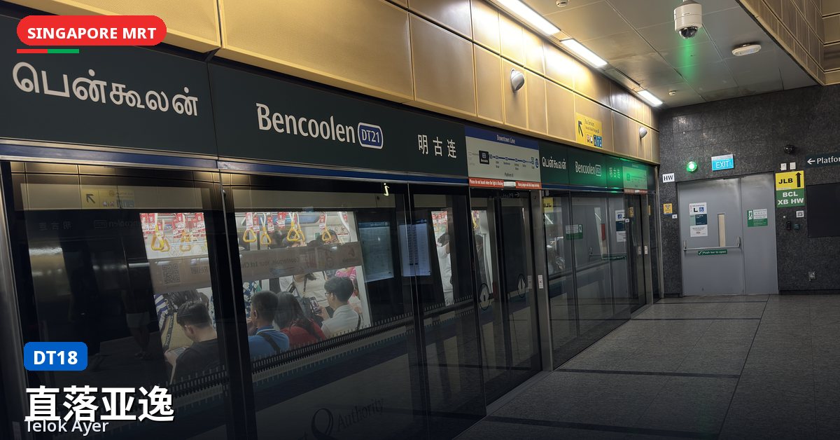 直落亚逸地铁站，新加坡 — 滨海市区线（DT18）